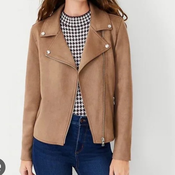 Ann Taylor moto jacket - Picture 3 of 10